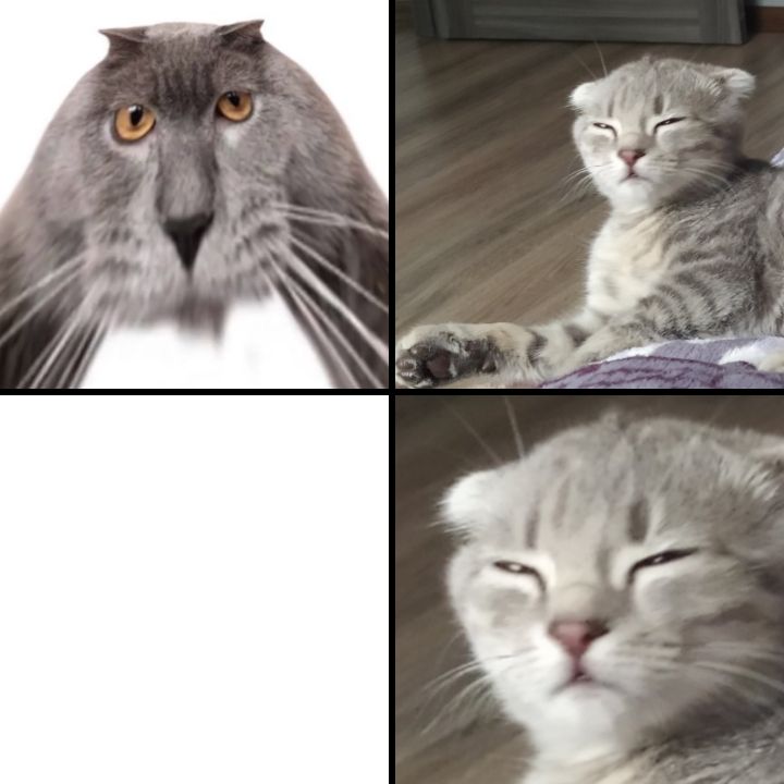 Oberezhnometanovets and Sesysirerere Blank Meme Template