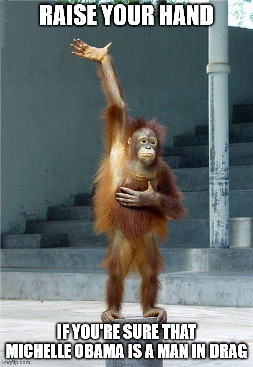 Michelle Obama is a MAN | RAISE YOUR HAND; IF YOU'RE SURE THAT MICHELLE OBAMA IS A MAN IN DRAG | image tagged in raise your hand,obama,man,homo,drag | made w/ Imgflip meme maker