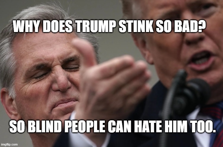 Stench of rotting flesh | WHY DOES TRUMP STINK SO BAD? SO BLIND PEOPLE CAN HATE HIM TOO. | image tagged in stench of orange | made w/ Imgflip meme maker
