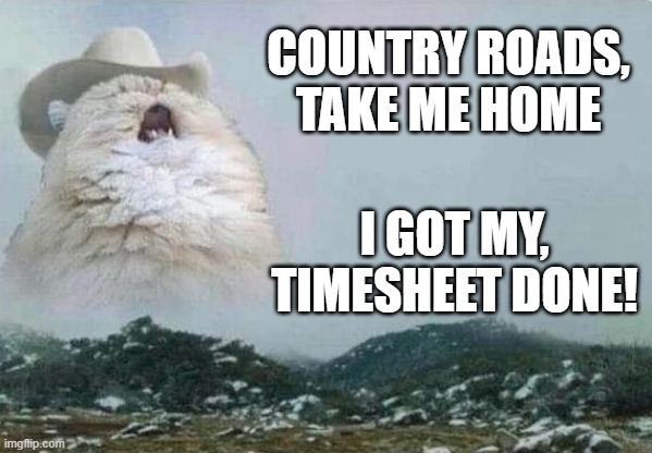 Country Cat | COUNTRY ROADS, TAKE ME HOME; I GOT MY, TIMESHEET DONE! | image tagged in country cat | made w/ Imgflip meme maker