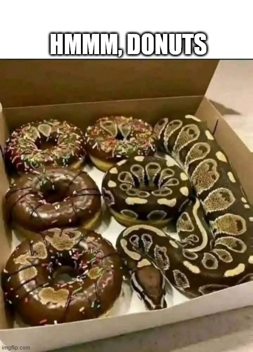 Donuts | HMMM, DONUTS | image tagged in dark humor,simpsons,lattice climbing,snake,latticeclimbing,climbing | made w/ Imgflip meme maker