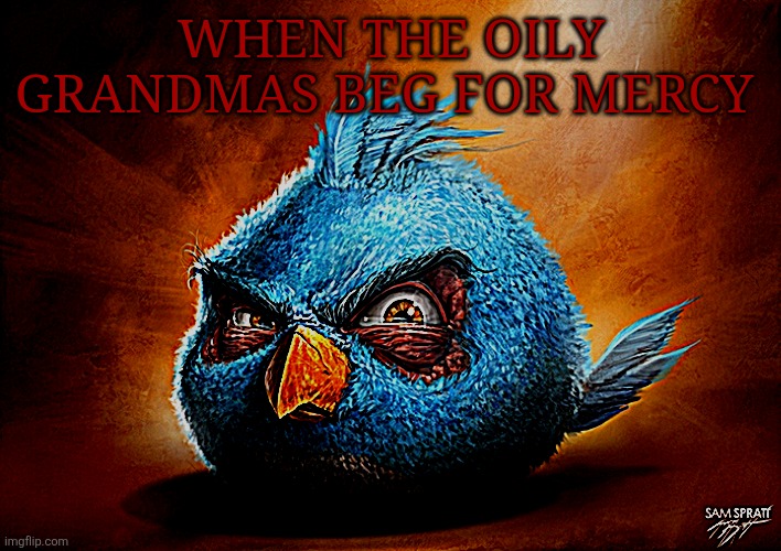 angry birds blue | WHEN THE OILY GRANDMAS BEG FOR MERCY | image tagged in angry birds blue | made w/ Imgflip meme maker