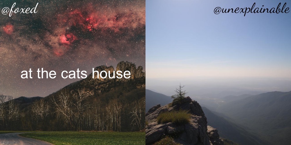 The fox is unexplainable. | at the cats house | image tagged in the fox is unexplainable | made w/ Imgflip meme maker