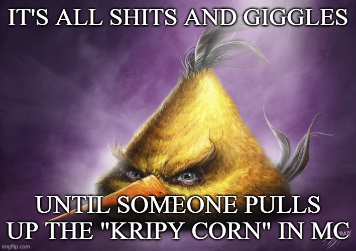 idk | IT'S ALL SHITS AND GIGGLES; UNTIL SOMEONE PULLS UP THE "KRIPY CORN" IN MC | image tagged in realistic yellow angry bird | made w/ Imgflip meme maker