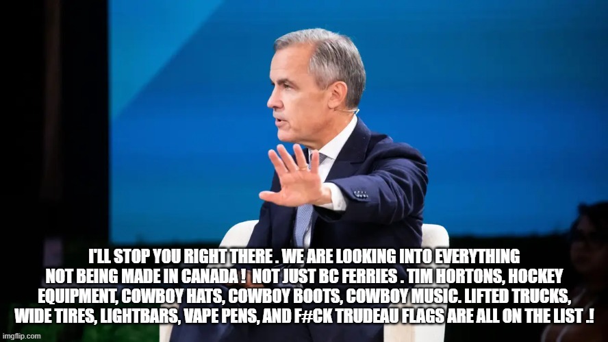 canadian politics | image tagged in political meme | made w/ Imgflip meme maker