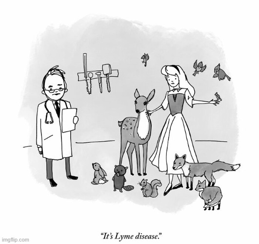 Poor Princess | image tagged in comics | made w/ Imgflip meme maker