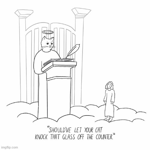 Cat Heaven | image tagged in comics | made w/ Imgflip meme maker