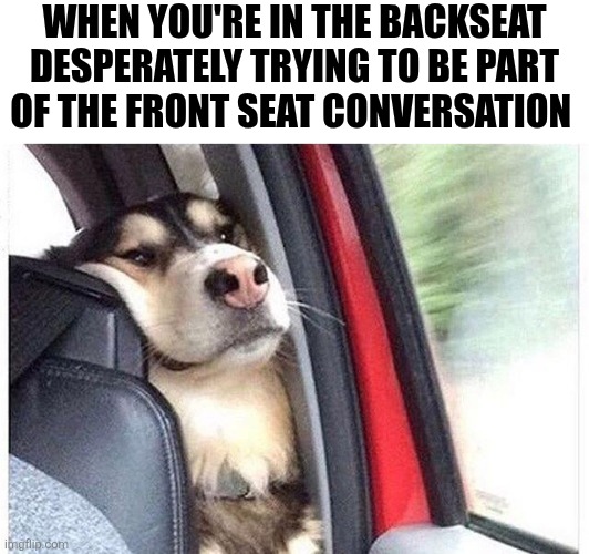 When You're In The Backseat | WHEN YOU'RE IN THE BACKSEAT DESPERATELY TRYING TO BE PART OF THE FRONT SEAT CONVERSATION | image tagged in chrisjoines1 | made w/ Imgflip meme maker