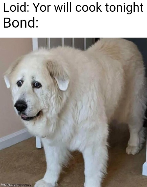 Bond is scared af rn | Loid: Yor will cook tonight; Bond: | image tagged in scared dog,spy family,spy x family | made w/ Imgflip meme maker
