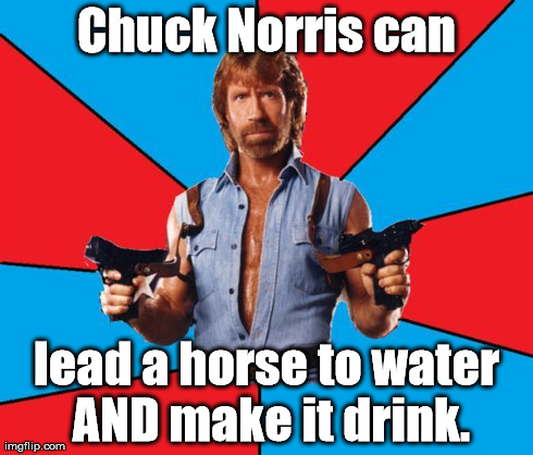 "I didn't even know I was thirsty!" | Chuck Norris can lead a horse to water AND make it drink. | image tagged in chuck norris,chuck norris approves,memes,meme | made w/ Imgflip meme maker