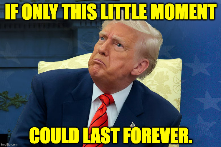 It's a template. | IF ONLY THIS LITTLE MOMENT; COULD LAST FOREVER. | image tagged in trump confused,memes,deep thoughts trump | made w/ Imgflip meme maker