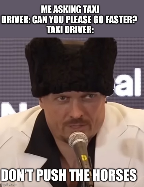 Usyk Don't Push the Horses | ME ASKING TAXI DRIVER: CAN YOU PLEASE GO FASTER? 
TAXI DRIVER:; DON’T PUSH THE HORSES | image tagged in usyk don't push the horses | made w/ Imgflip meme maker