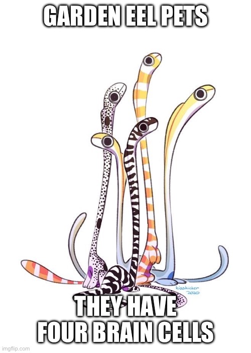 GARDEN EEL PETS; THEY HAVE FOUR BRAIN CELLS | made w/ Imgflip meme maker