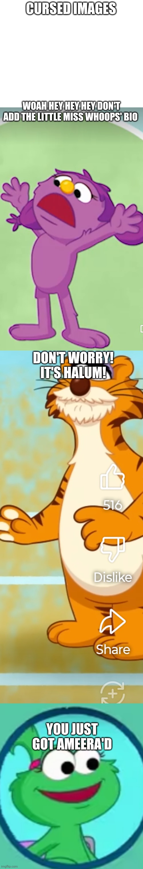 Cursed images part 14 | CURSED IMAGES; WOAH HEY HEY HEY DON'T ADD THE LITTLE MISS WHOOPS' BIO; DON'T WORRY! IT'S HALUM! YOU JUST GOT AMEERA'D | image tagged in cursed image,cursed,funny,sesame street,oh wow are you actually reading these tags | made w/ Imgflip meme maker