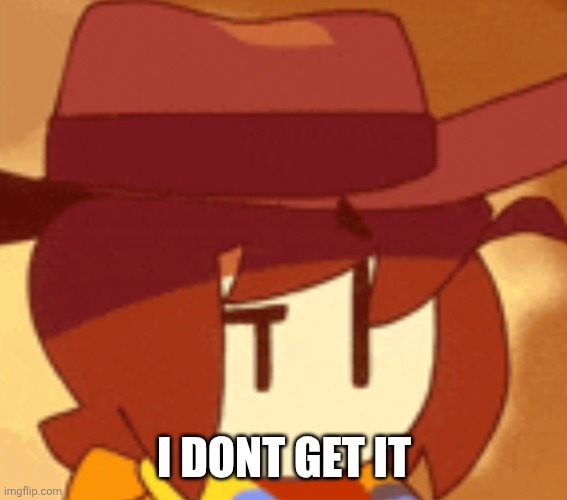 qhat | I DONT GET IT | image tagged in qhat | made w/ Imgflip meme maker