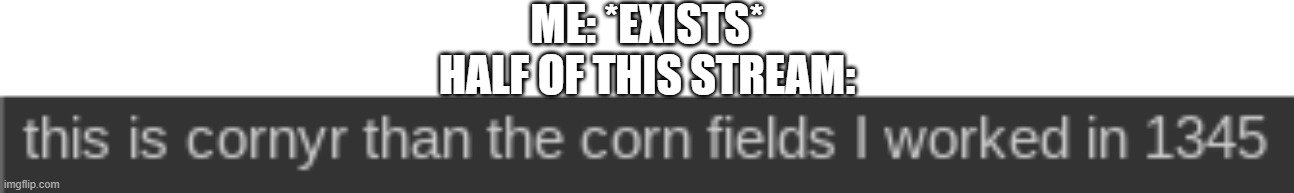 ts corny | ME: *EXISTS*
HALF OF THIS STREAM: | image tagged in ts corny | made w/ Imgflip meme maker