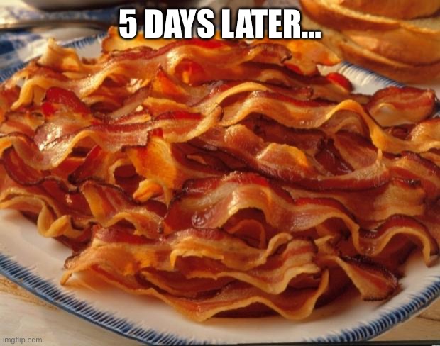 5 DAYS LATER… | image tagged in bacon | made w/ Imgflip meme maker