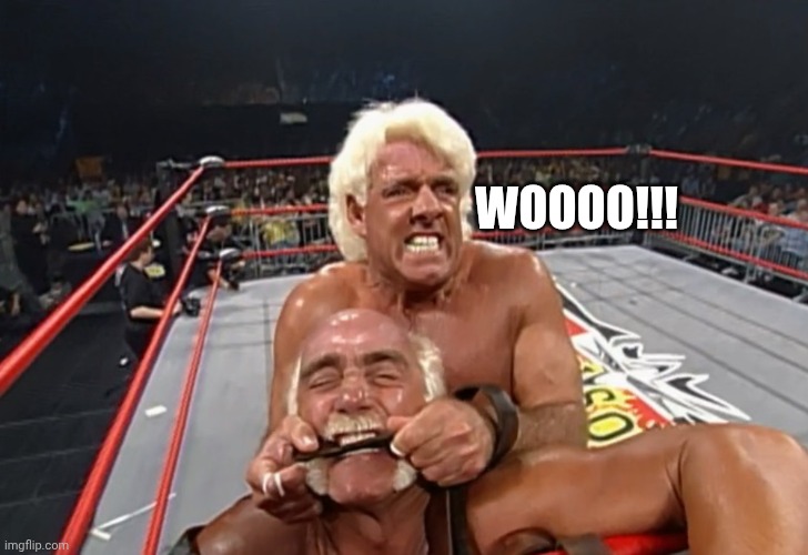 Ric Flair Alive and Well | WOOOO!!! | image tagged in hulk hogan,rip,ric flair,wwf,wcw | made w/ Imgflip meme maker