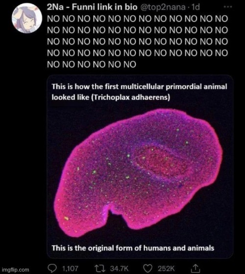 Añogos | made w/ Imgflip meme maker