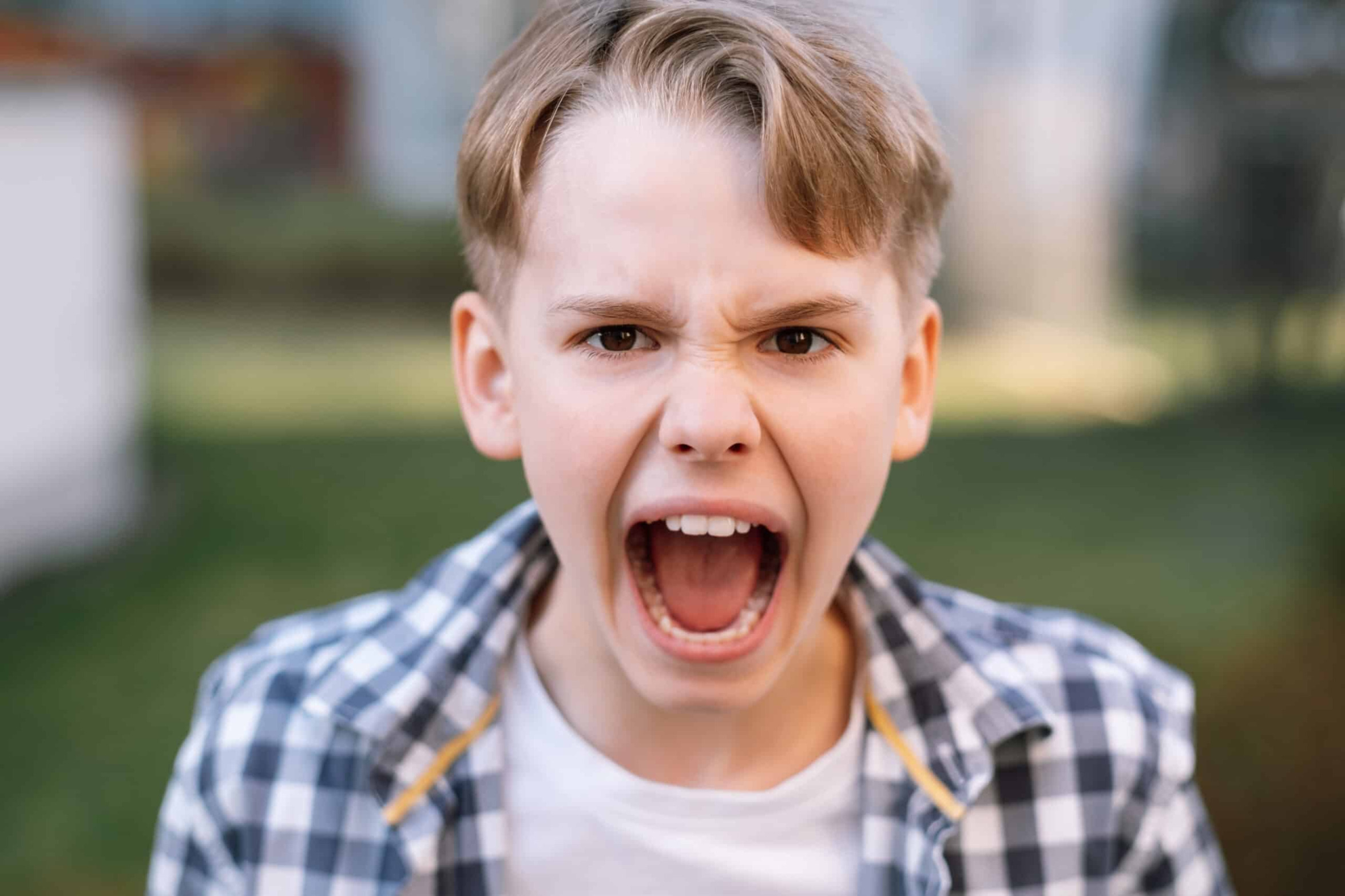 Angry boy Blank Meme Template