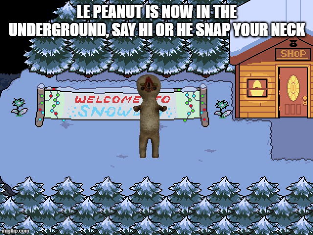 ima do smilers next lmao | LE PEANUT IS NOW IN THE UNDERGROUND, SAY HI OR HE SNAP YOUR NECK | image tagged in snowdin | made w/ Imgflip meme maker