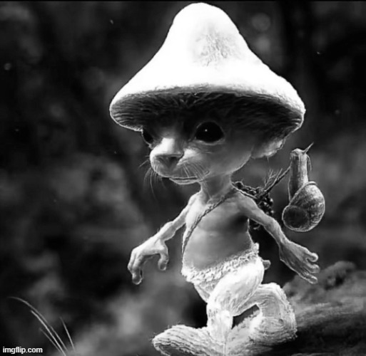 Why is he gray | made w/ Imgflip meme maker