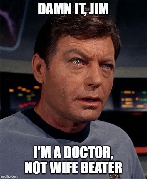 Slap the woman yourself | DAMN IT, JIM; I'M A DOCTOR, NOT WIFE BEATER | image tagged in damn it jim i'm a doctor | made w/ Imgflip meme maker