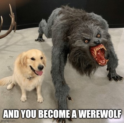 American Werewolf In London And Dog Paycheck and Missing Work | AND YOU BECOME A WEREWOLF | image tagged in american werewolf in london and dog paycheck and missing work | made w/ Imgflip meme maker