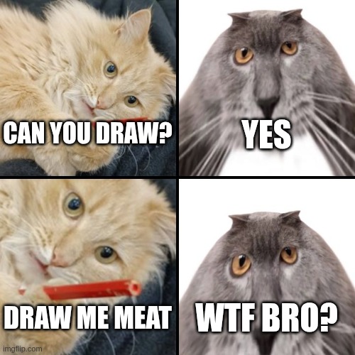 Can you draw? | CAN YOU DRAW? YES; DRAW ME MEAT; WTF BRO? | image tagged in drawcat and oberezhnometanovets,cats,cat,food,hungry | made w/ Imgflip meme maker