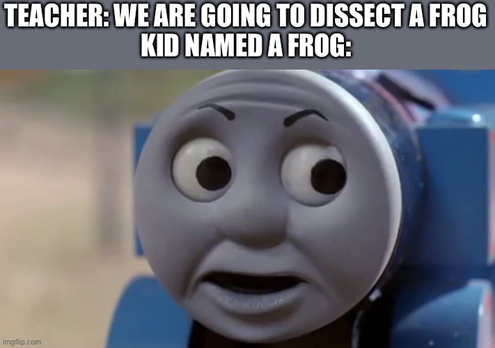 Thomas O Face | TEACHER: WE ARE GOING TO DISSECT A FROG
KID NAMED A FROG: | image tagged in thomas o face | made w/ Imgflip meme maker