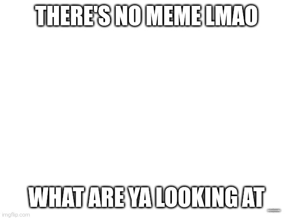 THERE'S NO MEME LMAO; WHAT ARE YA LOOKING AT; https://imgflip.com/gif/a16ury | made w/ Imgflip meme maker