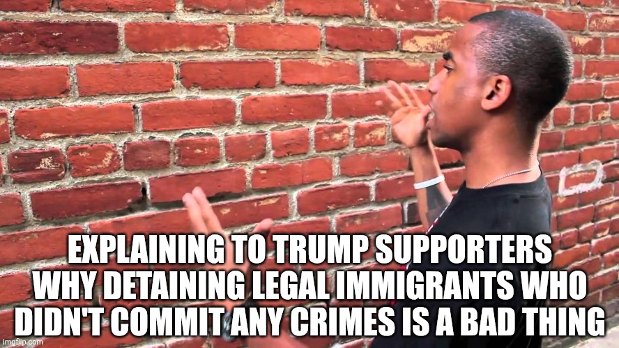 Trump supporters don't care how badly the government is treating legal immigrants | EXPLAINING TO TRUMP SUPPORTERS WHY DETAINING LEGAL IMMIGRANTS WHO DIDN'T COMMIT ANY CRIMES IS A BAD THING | image tagged in talking to wall,trump immigration policy,immigration,tyranny,conservative logic | made w/ Imgflip meme maker