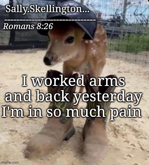 Sally's temp | I worked arms and back yesterday I'm in so much pain | image tagged in sally's temp | made w/ Imgflip meme maker