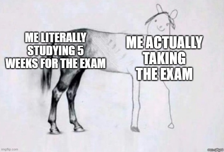 I got the F now | ME LITERALLY STUDYING 5 WEEKS FOR THE EXAM; ME ACTUALLY TAKING THE EXAM | image tagged in horse drawing,funny,memes,exams,relatable,for real | made w/ Imgflip meme maker