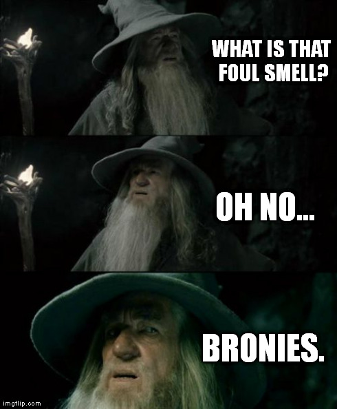 Confused Gandalf | WHAT IS THAT FOUL SMELL? BRONIES. OH NO... | image tagged in memes,confused gandalf | made w/ Imgflip meme maker