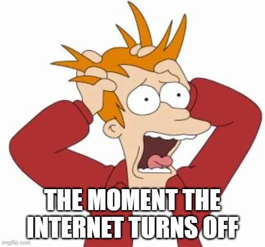 Fry Freaking Out | THE MOMENT THE INTERNET TURNS OFF | image tagged in fry freaking out | made w/ Imgflip meme maker