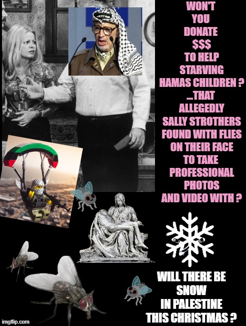 Double Long Black Template | WON'T 
YOU 
DONATE 
$$$
TO HELP
STARVING
HAMAS CHILDREN ?
...THAT 
ALLEGEDLY
SALLY STROTHERS
FOUND WITH FLIES
ON THEIR FACE
TO TAKE 
PROFESSIONAL
PHOTOS
AND VIDEO WITH ? WILL THERE BE
SNOW
IN PALESTINE
THIS CHRISTMAS ? | image tagged in double long black template | made w/ Imgflip meme maker