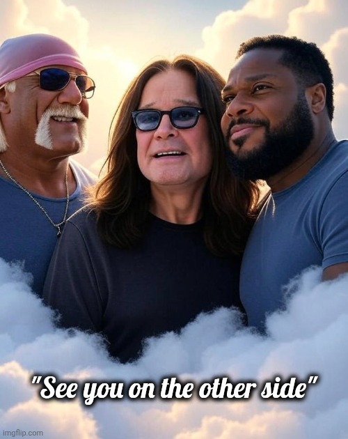 It comes in threes | "See you on the other side" | image tagged in rest in peace,actor,singer,wrestler,entertainment,legends | made w/ Imgflip meme maker