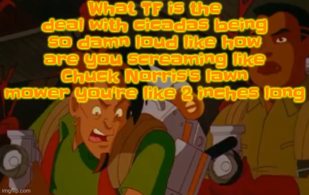 mortified. | What TF is the deal with cicadas being so damn loud like how are you screaming like Chuck Norris's lawn mower you're like 2 inches long | image tagged in mortified | made w/ Imgflip meme maker