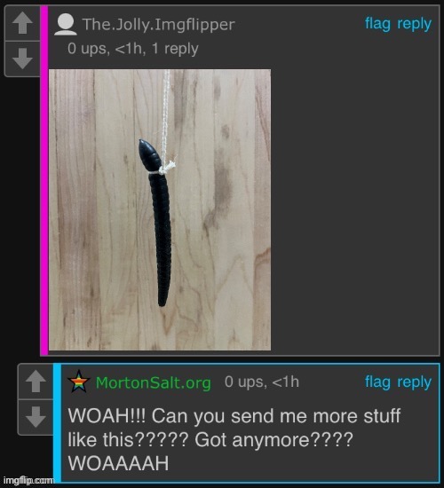 MortonSalt.org being horny | image tagged in mortonsalt org being horny | made w/ Imgflip meme maker