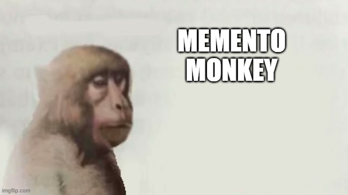 Memento Mori | MEMENTO MONKEY | image tagged in calm monkey | made w/ Imgflip meme maker