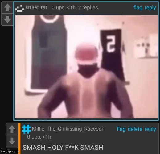 You asked for it when making this temp | image tagged in hsams | made w/ Imgflip meme maker