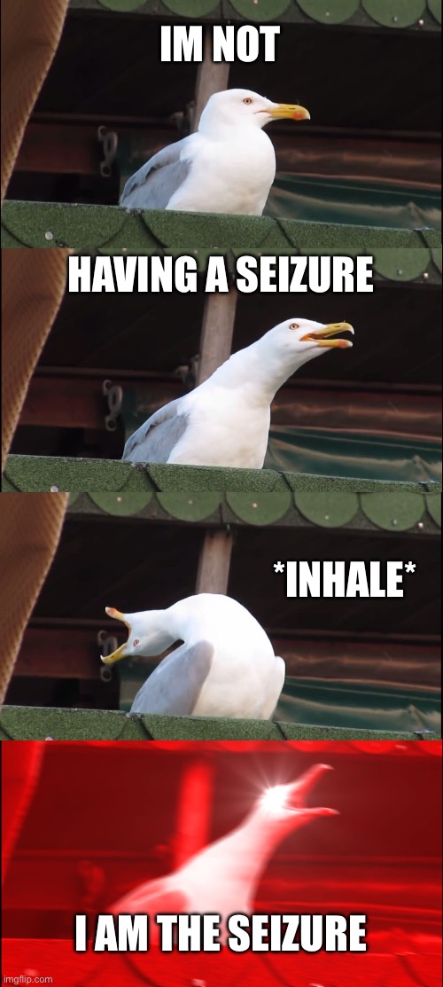 Inhaling Seagull | IM NOT; HAVING A SEIZURE; *INHALE*; I AM THE SEIZURE | image tagged in memes,inhaling seagull | made w/ Imgflip meme maker