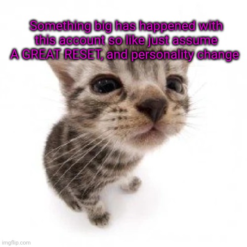I am so cooked I don't know how should I explain you all will kill me | Something big has happened with this account so like just assume A GREAT RESET, and personality change | image tagged in el gatito | made w/ Imgflip meme maker