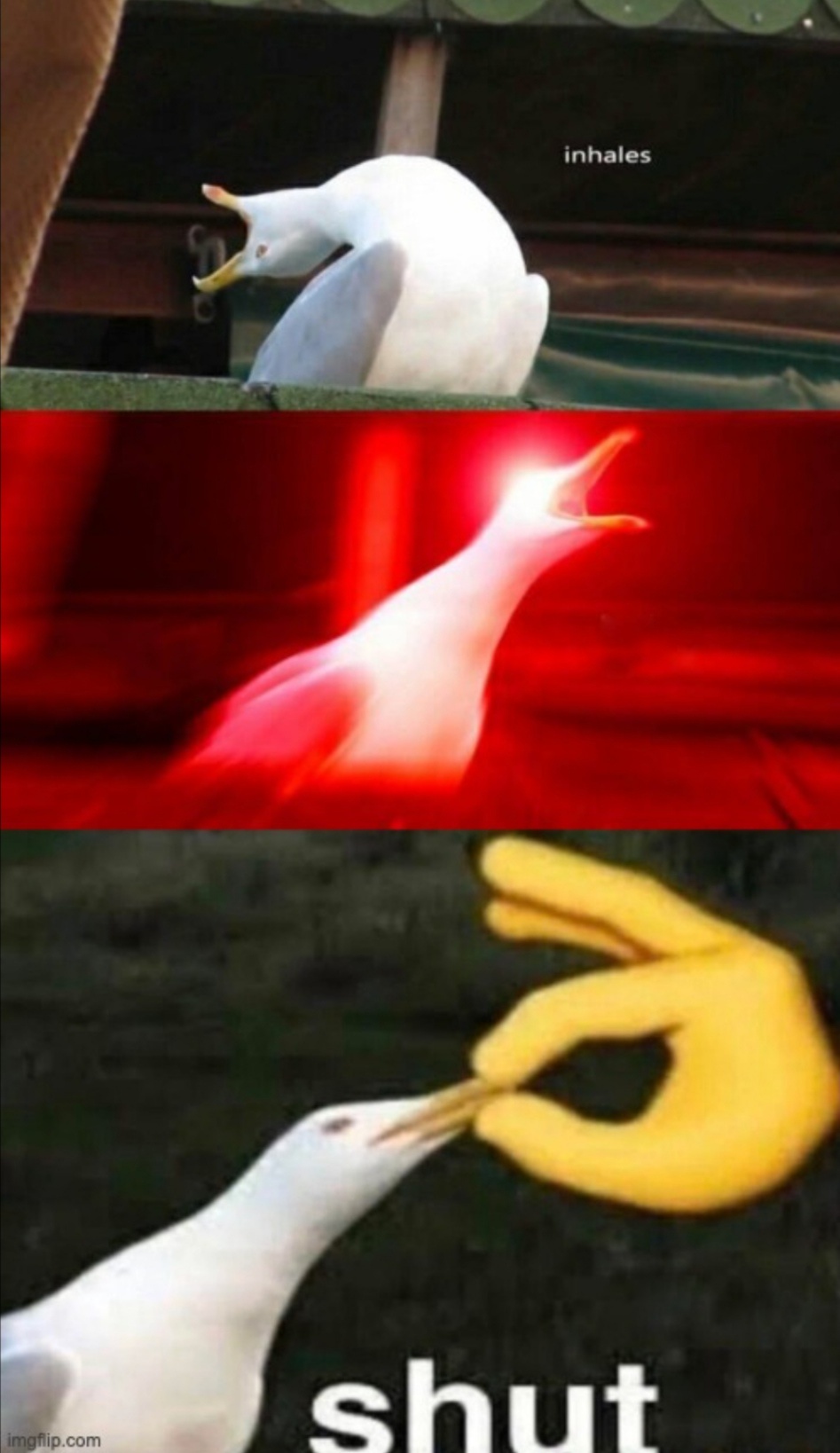Shut Seagull Blank Meme Template