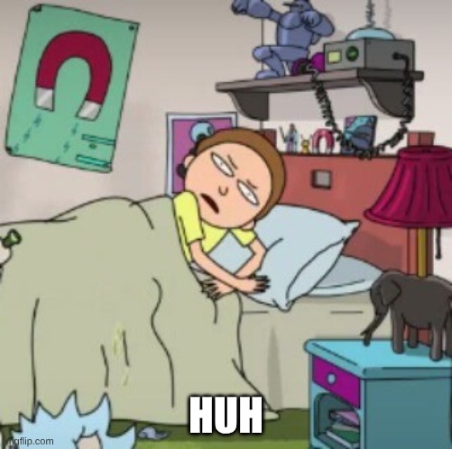 HUH | image tagged in morty bedtime realisation | made w/ Imgflip meme maker