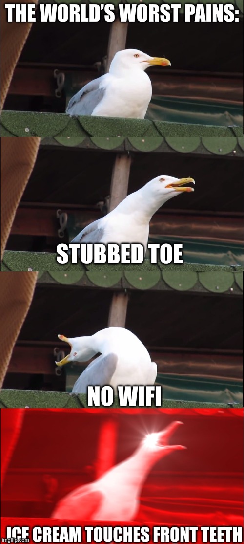 upvote plz | THE WORLD’S WORST PAINS:; STUBBED TOE; NO WIFI; ICE CREAM TOUCHES FRONT TEETH | image tagged in inhaling seagull | made w/ Imgflip meme maker