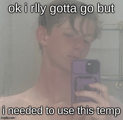 Virian | ok i rlly gotta go but; i needed to use this temp | image tagged in virian | made w/ Imgflip meme maker