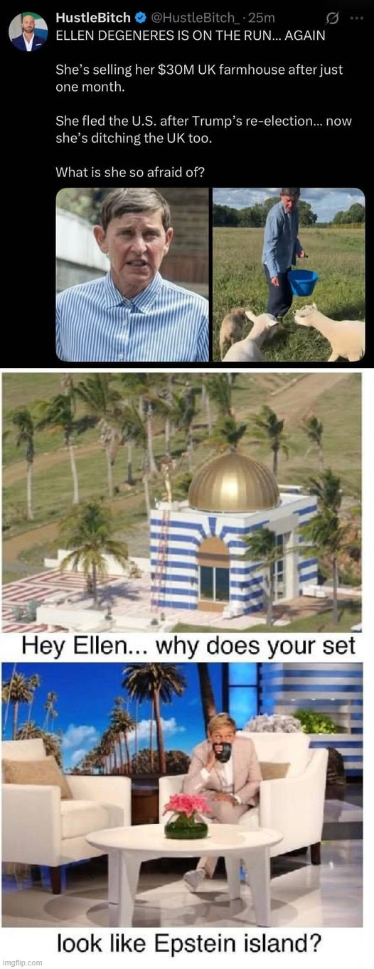 Ellen Degenerate | image tagged in ellen degeneres | made w/ Imgflip meme maker