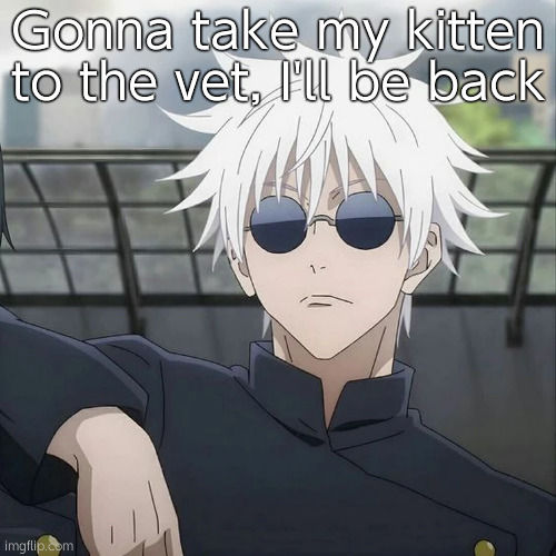 Gojo | Gonna take my kitten to the vet, I'll be back | image tagged in gojo | made w/ Imgflip meme maker